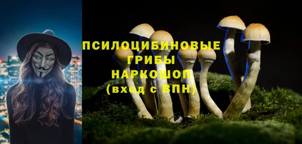 ГАЛЛЮЦИНОГЕННЫЕ ГРИБЫ Алзамай
