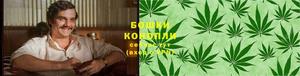 герыч Пересвет