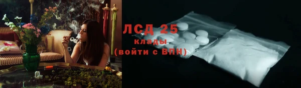 ГАЛЛЮЦИНОГЕННЫЕ ГРИБЫ Алзамай