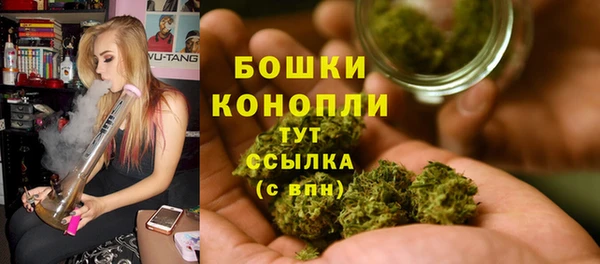 герыч Пересвет